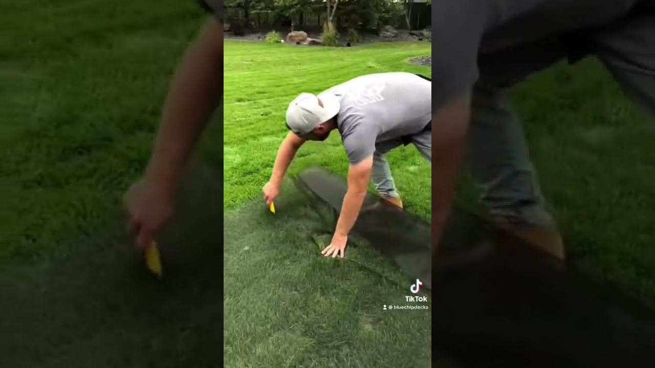 How To Install Mosquito Screen Like A Pro!