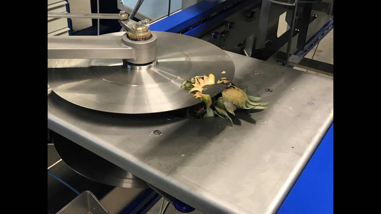 ZTI Pineapple Peeler