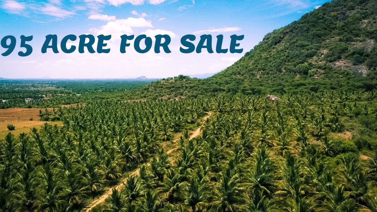 95 Acre For Sale @ Very Beautiful Location