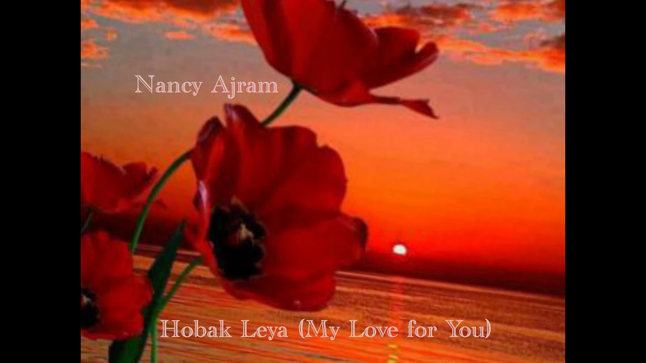 Nancy Ajram hobak leya Hd+lyrics