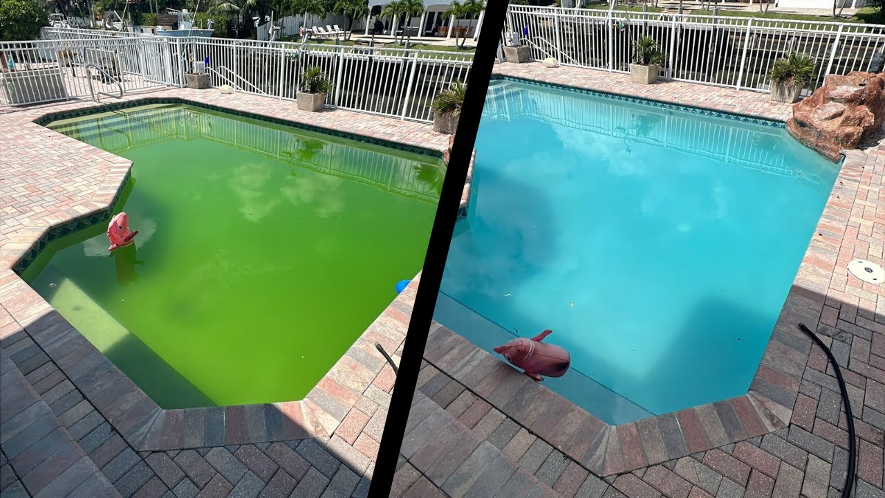 Watch Me Rescue This Green Pool – Insane Transformation!