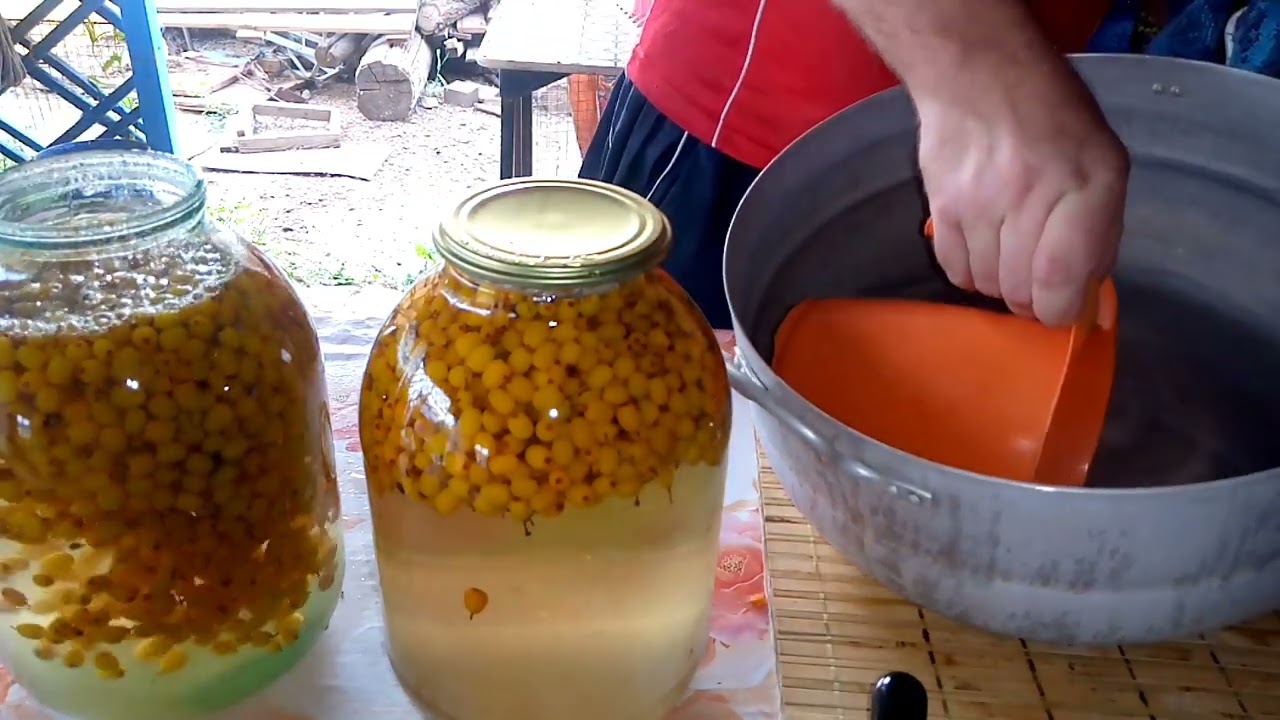 Закрутили компот из облепихи на зиму