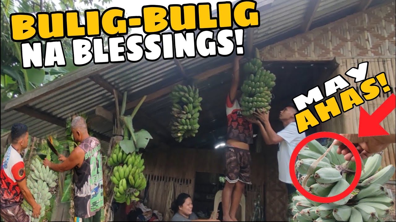 MAY AHAS NA NAKATIRA SA SAGING NI TATAYRIOT! || GANAP NG PASKO SA PROBINSYA @burdzjason2097 