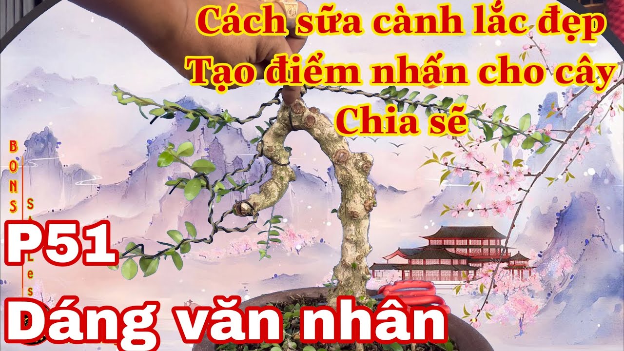 sửa kiểng bonsai p51 | cách sửa kiểng  dáng văn nhân - cành rơi