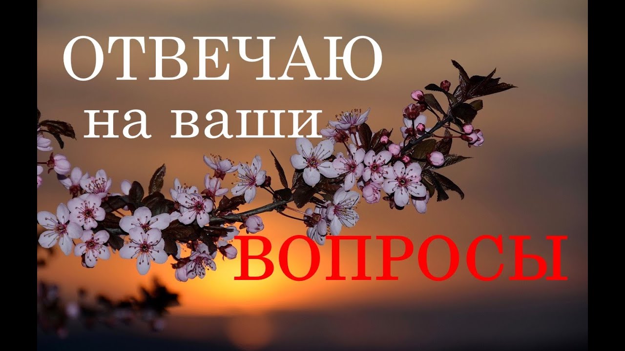 ОТВЕЧАЮ на ВАШИ ВОПРОСЫ .