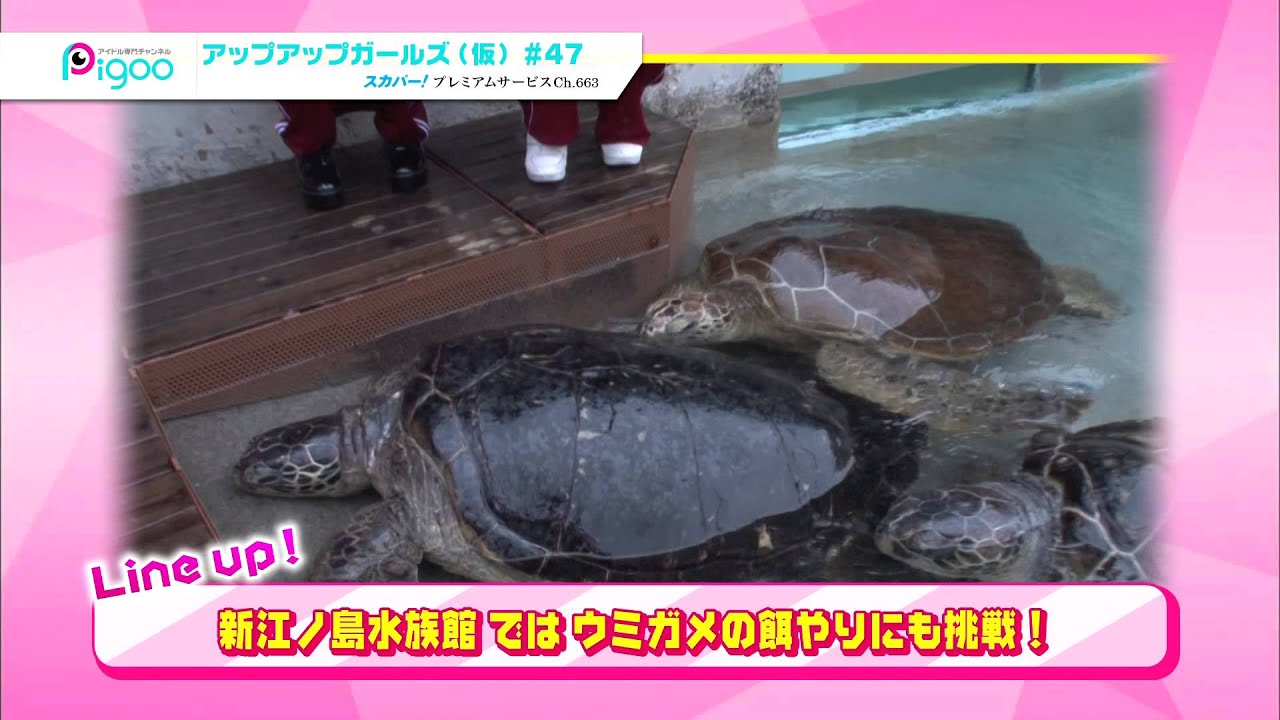 アップアップガールズ（仮） #47 2015年2月放送ダイジェスト　出演：仙石みなみ 森咲樹 関根梓 古川小夏 新井愛瞳 佐藤綾乃 佐保明梨 アップアップガールズ（仮）