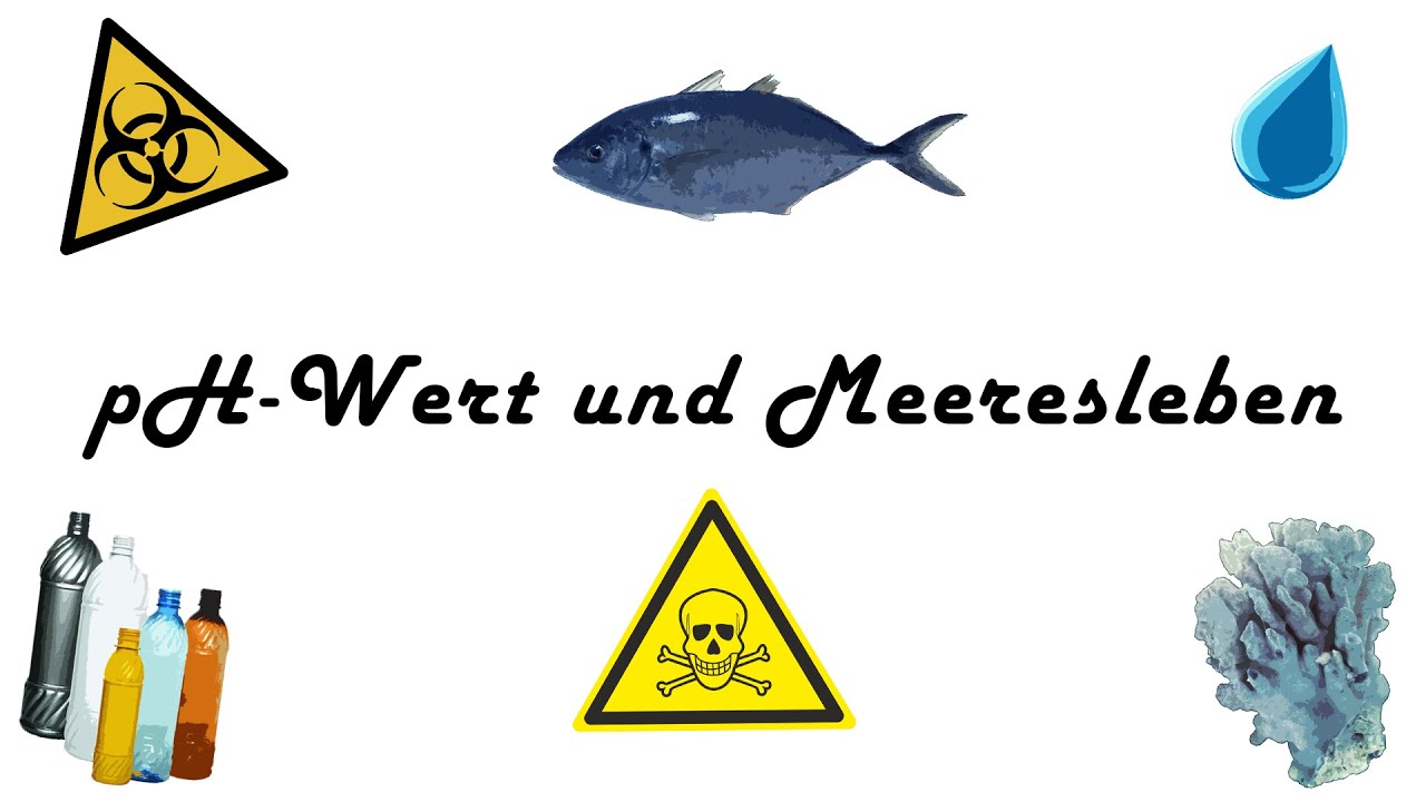 pH-Wert und Meeresleben
