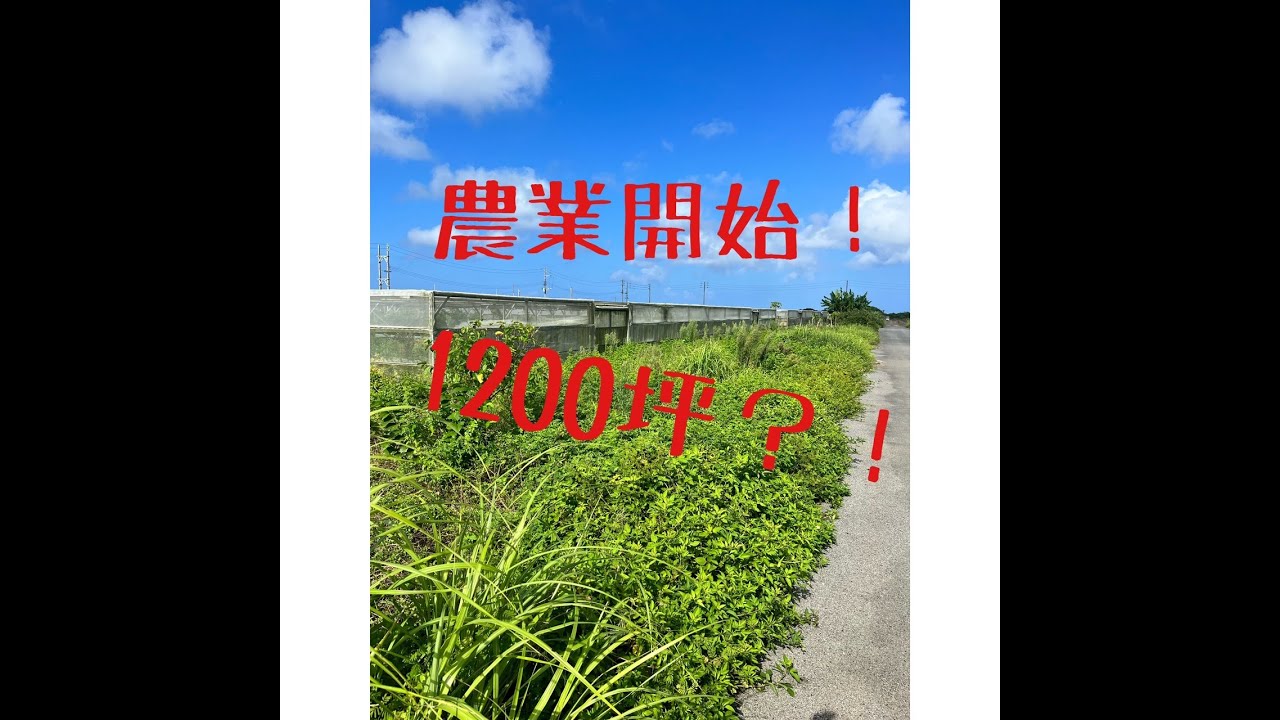 農業開始　～沖縄で農地1200坪借りてみた！～