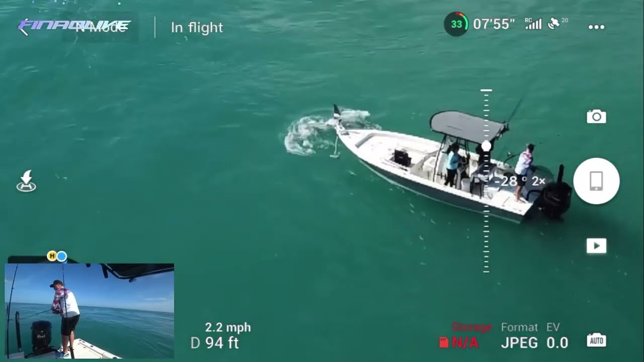Shark Drone Compilation