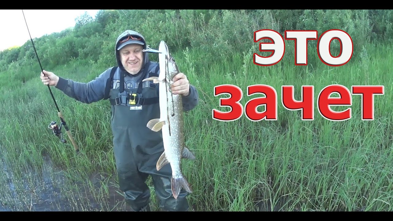 КРУПНАЯ ЩУКА с берега. Debu Nyoro опять выручает. Рыбалка на щуку с берега. Щука на спиннинг в июне