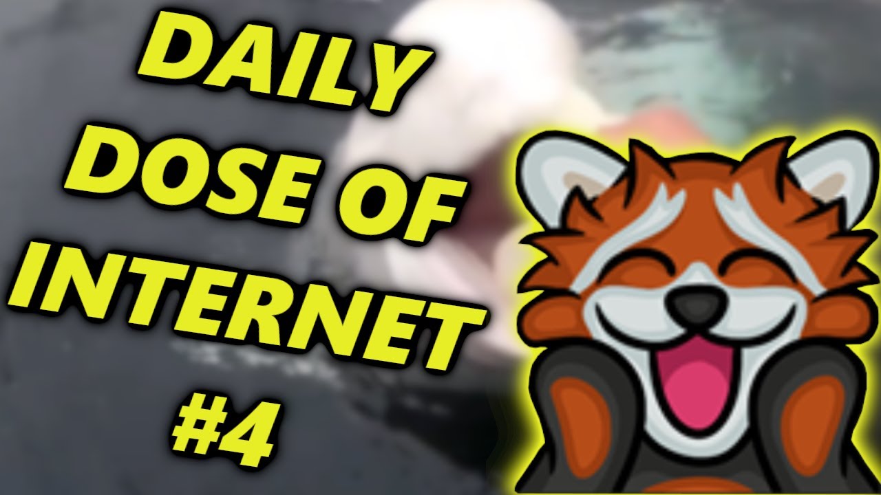 EWRON OGLĄDA DIALY DOSE OF INTERNET #4