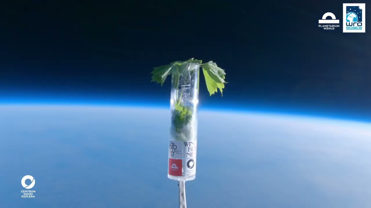 Lot balonu stratosferycznego - Winobranie 2023