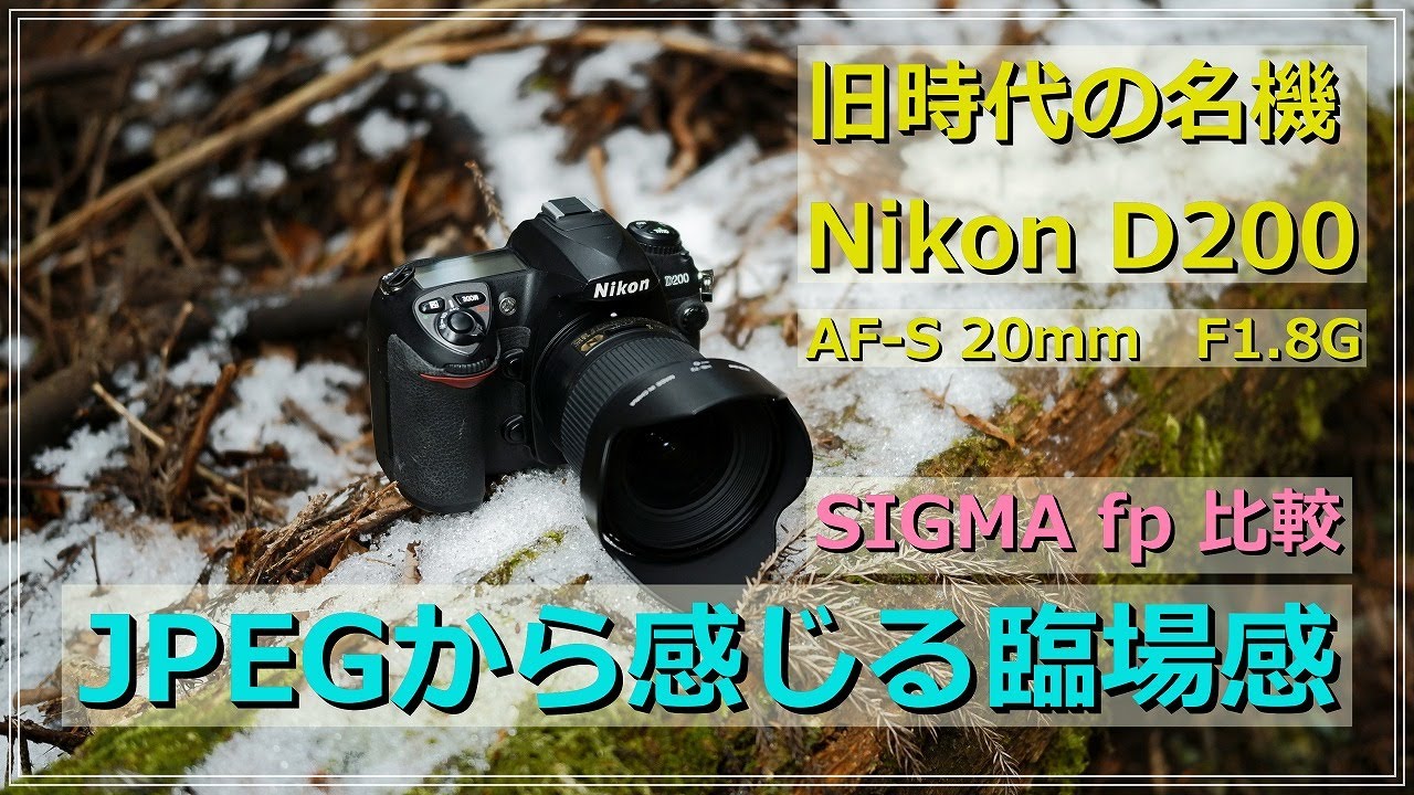 名機 Nikon D200 立体感を感じるJPEG 森スナップ  SIGMA fp と比較