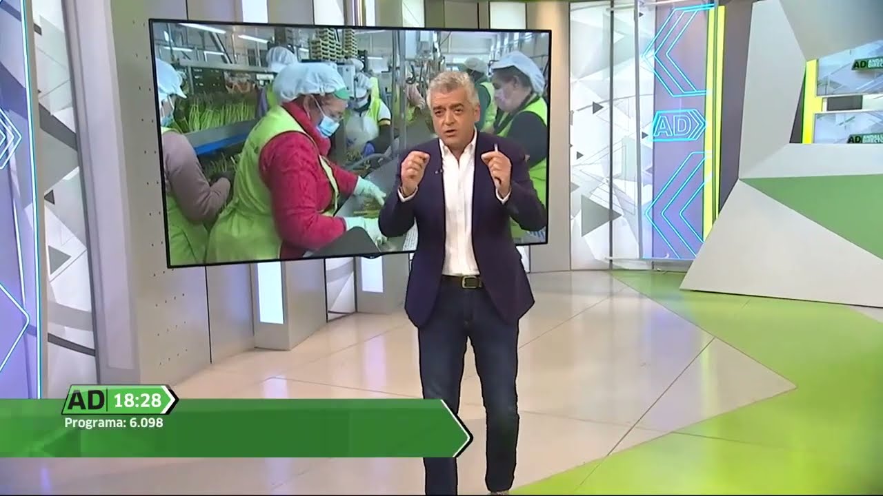 CENTRO SUR en Andalucía Directo/ Canal Sur Andalucía 2022