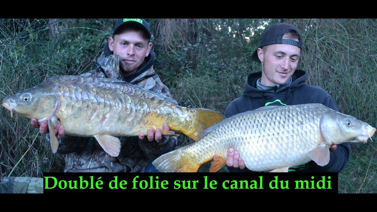 Pêche de la carpe en canal