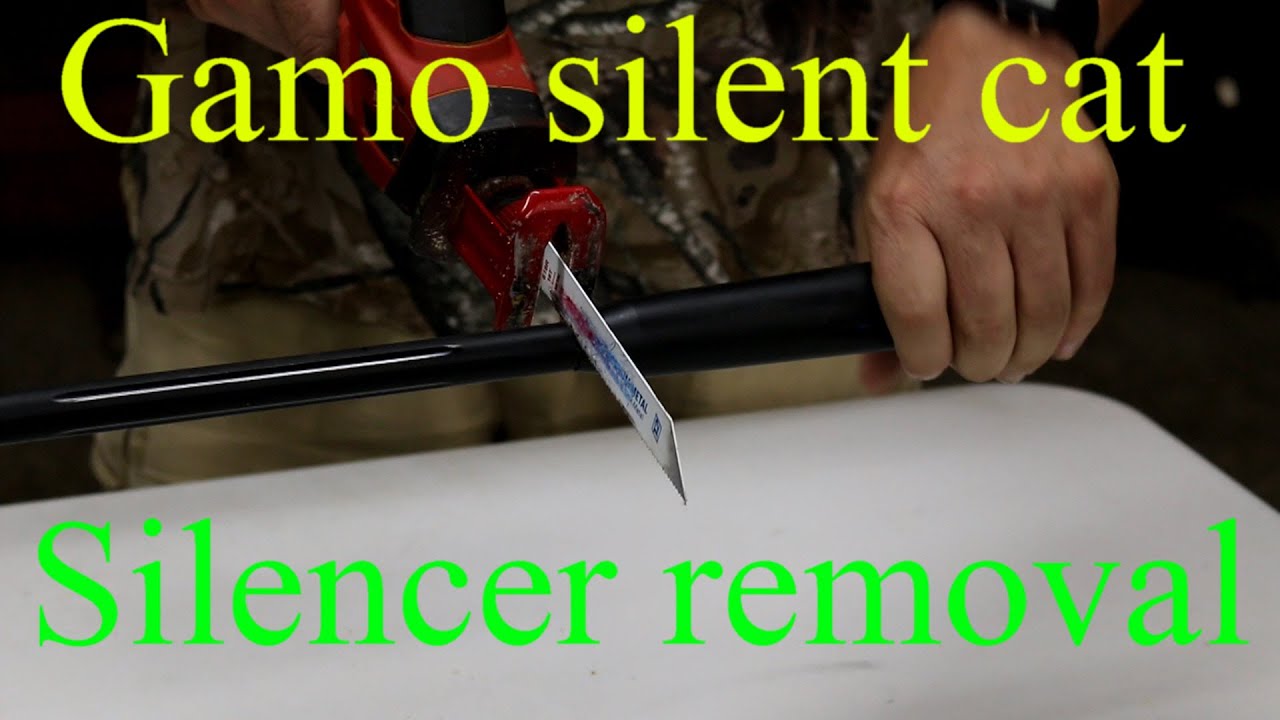 Gamo silent cat - does this silencer even work? - Pelletonix