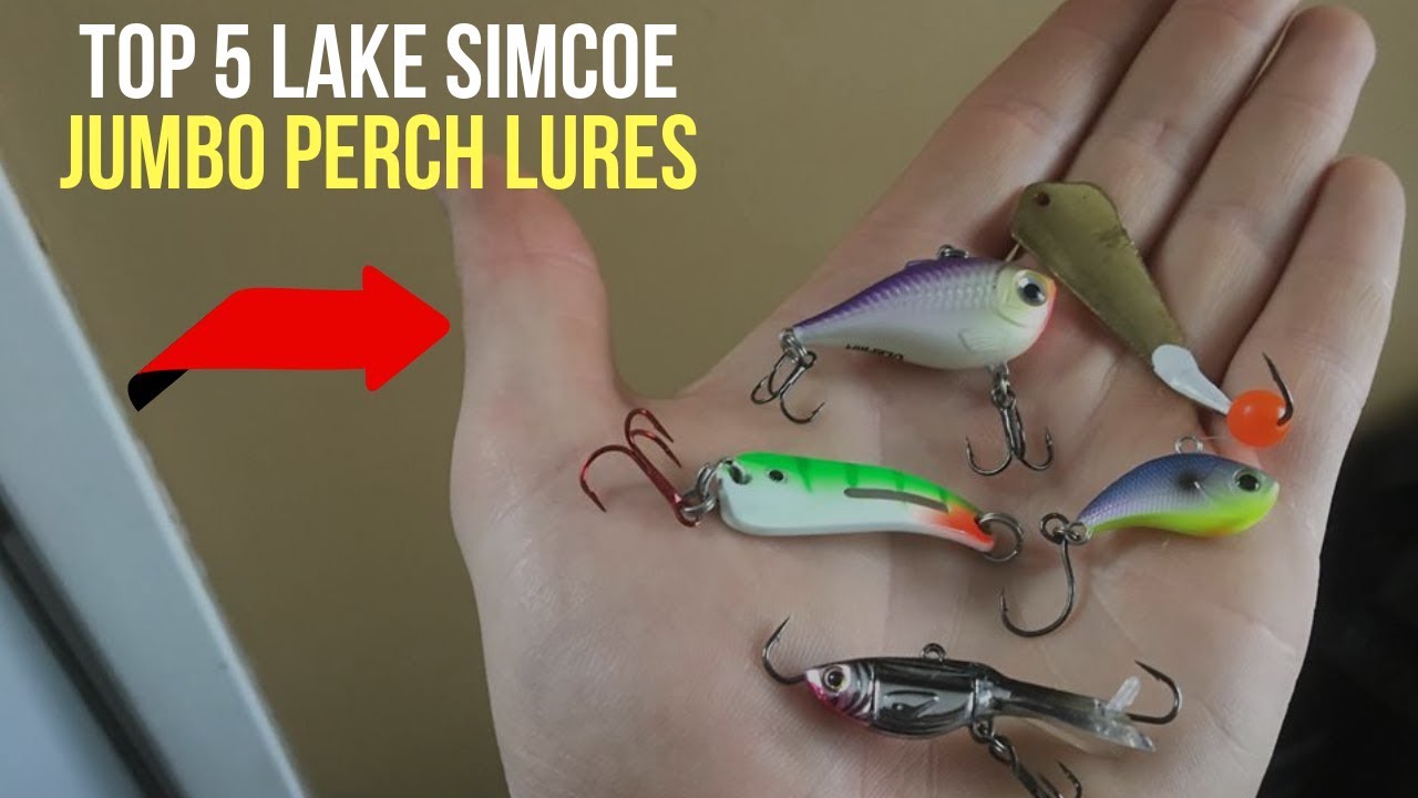The Best Lures For Lake Simcoe Jumbo Perch (Ice Fishing)