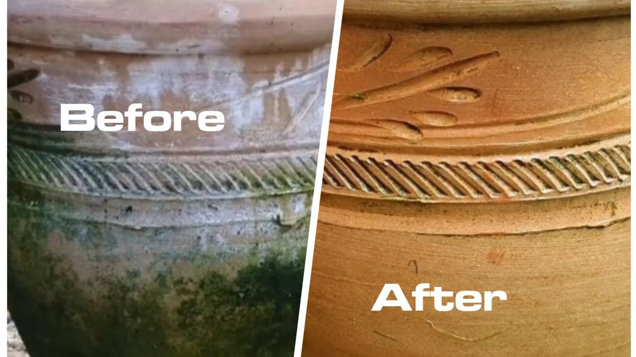 Removing mould from my terracotta pot so easily
