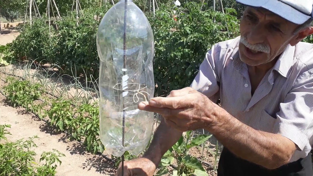 Bahçelerde köstebek çözümü