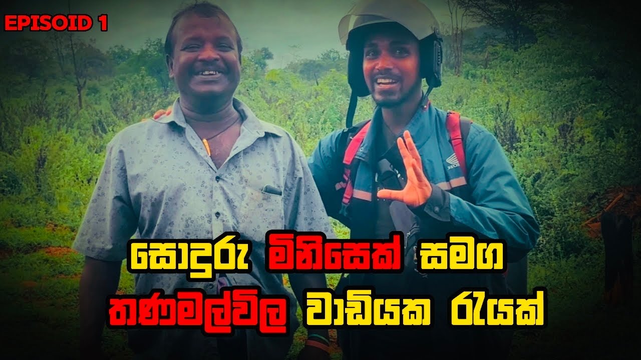 හේනක් මැද වාඩියක ගෙවුනු රාත්‍රියක්. මේක නම් ඔයා ගන්නම ඕනි අත්දැකීමක් 😌🌴🇱🇰 #Ep1