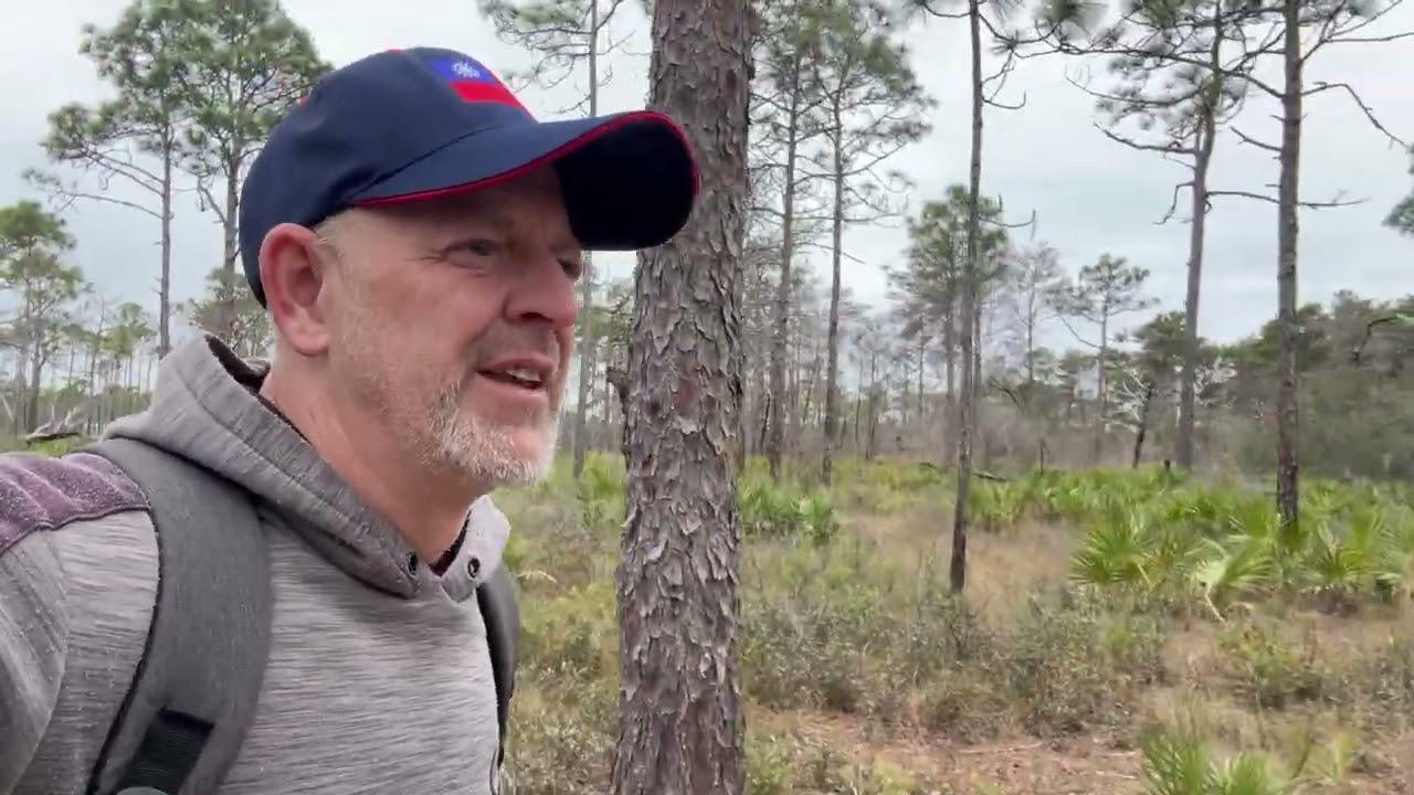 Long leaf documentary by Tim Hawig