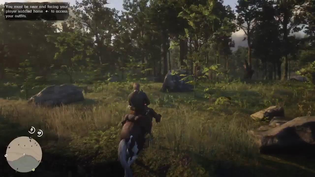 An Idiot plays RED DEAD REDEMPTION 2