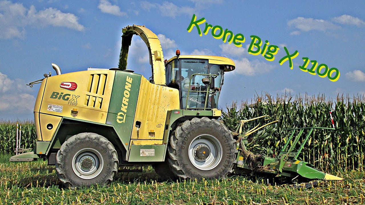 Trinciato mais 2014 - Rosina Silvio e F.lli & C. - Krone Big X 1100