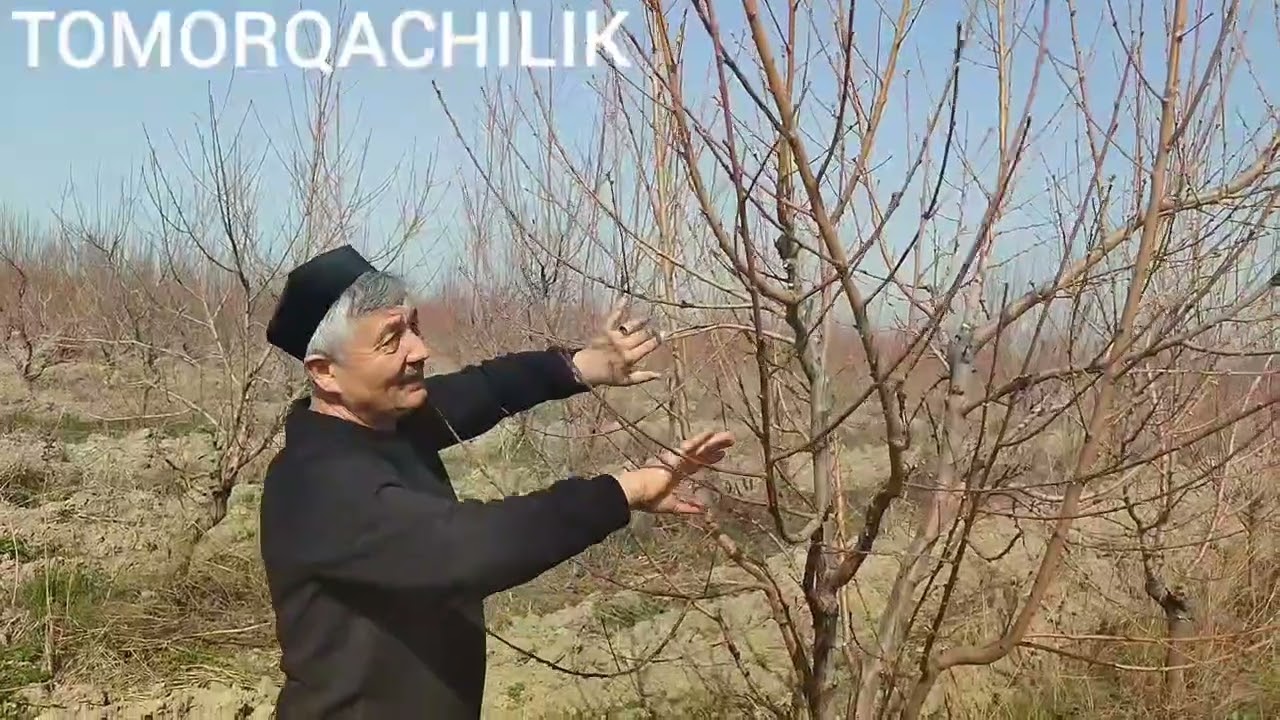 25 февраля 2026 г.Samarqand kochatlari.TOMORQACHILIK