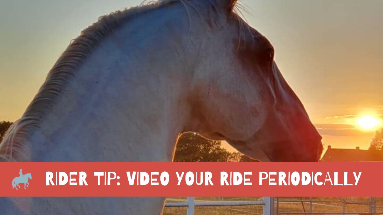 Rider Tip:  Periodically video your rides