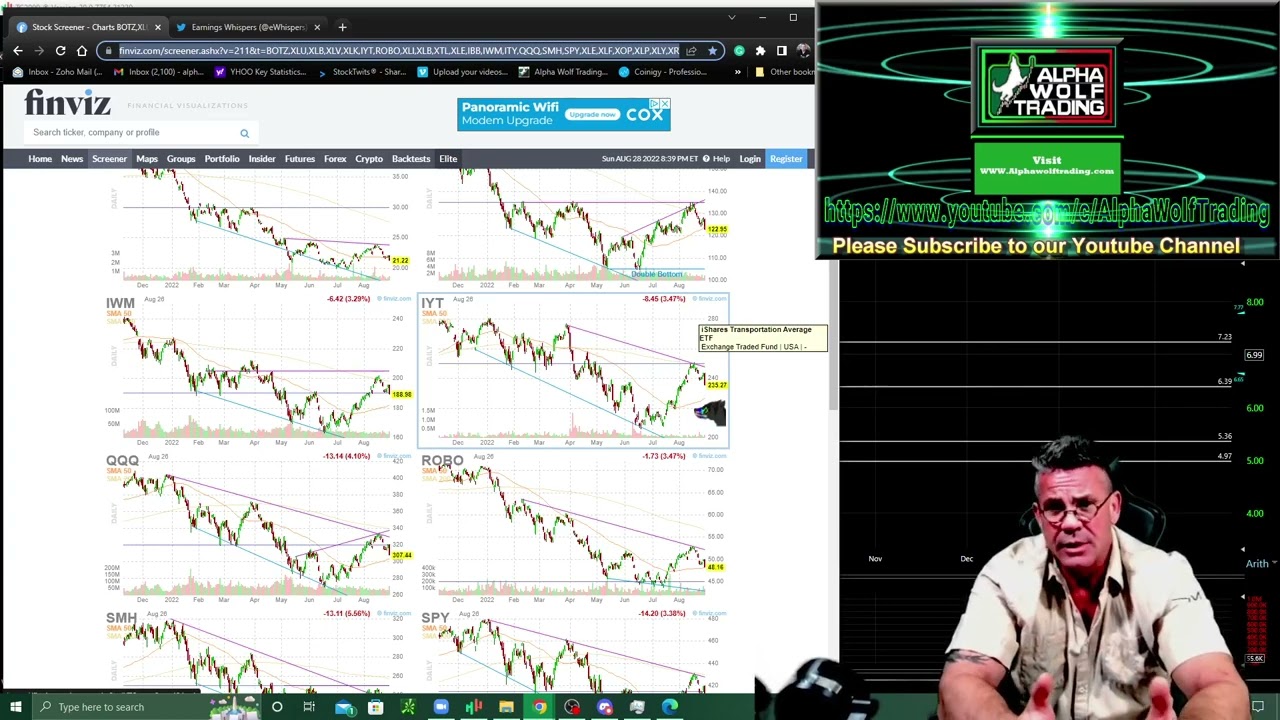 Alpha Wolf Trading, weekly state of the stock market and  stocks to watch