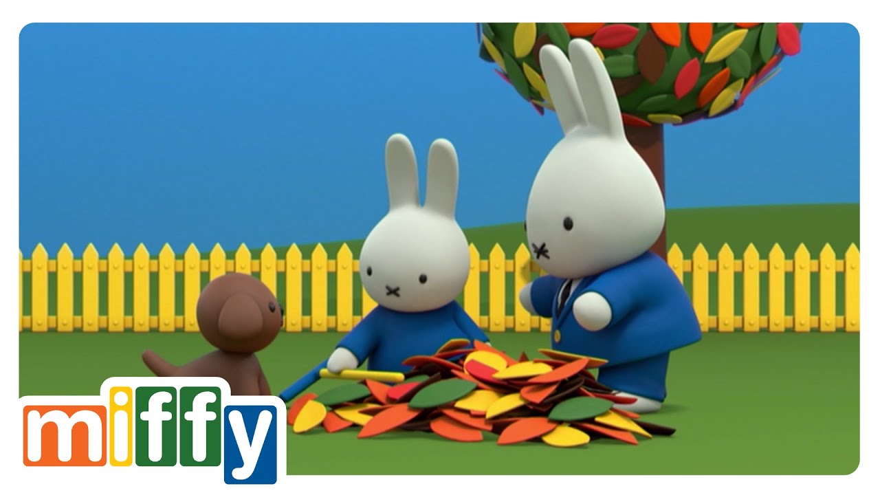 Miffy y las hojas 🍂 | Miffy | Caricaturas Para Bebés
