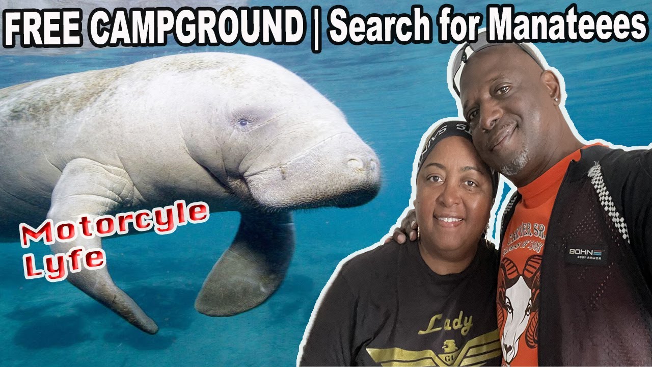 Moto Camp |Free Campground | Searching For Manatees| Motorcycle Lyfe