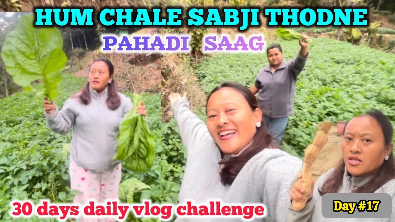 HAMARE GAON K KHET II PAHADI SAAGII LOCAL CHICKENIILOCAL VEGETABLEIIDAILY VLOG CHALLENGEIIVLOG#18/30
