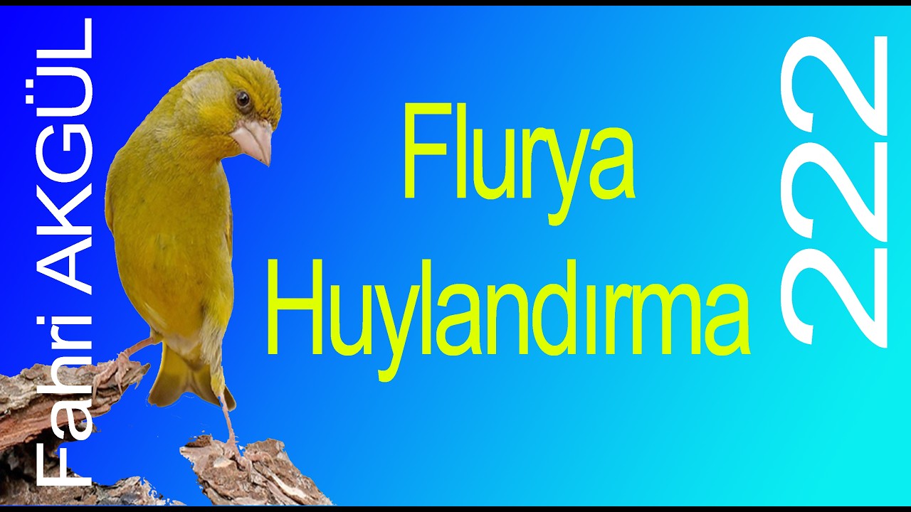Fahri AKGÜL - Flurya Huylandırma 222