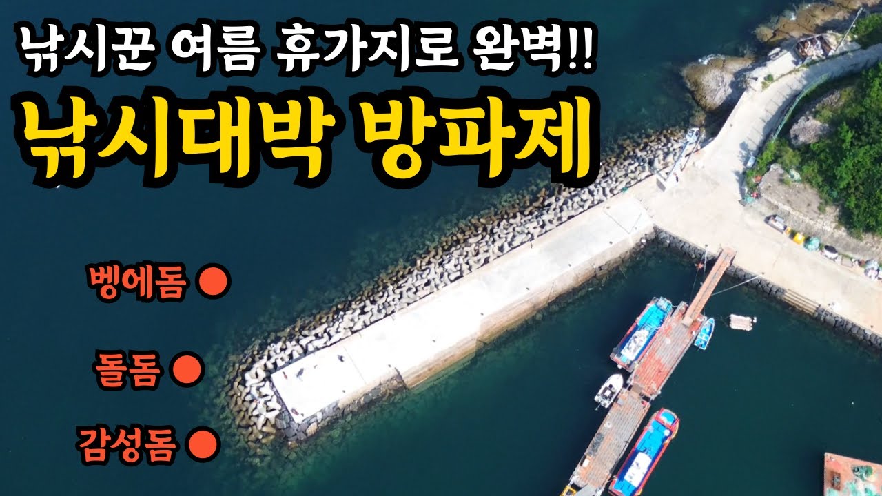 여름휴가 낚시! 씨알급 바글바글!