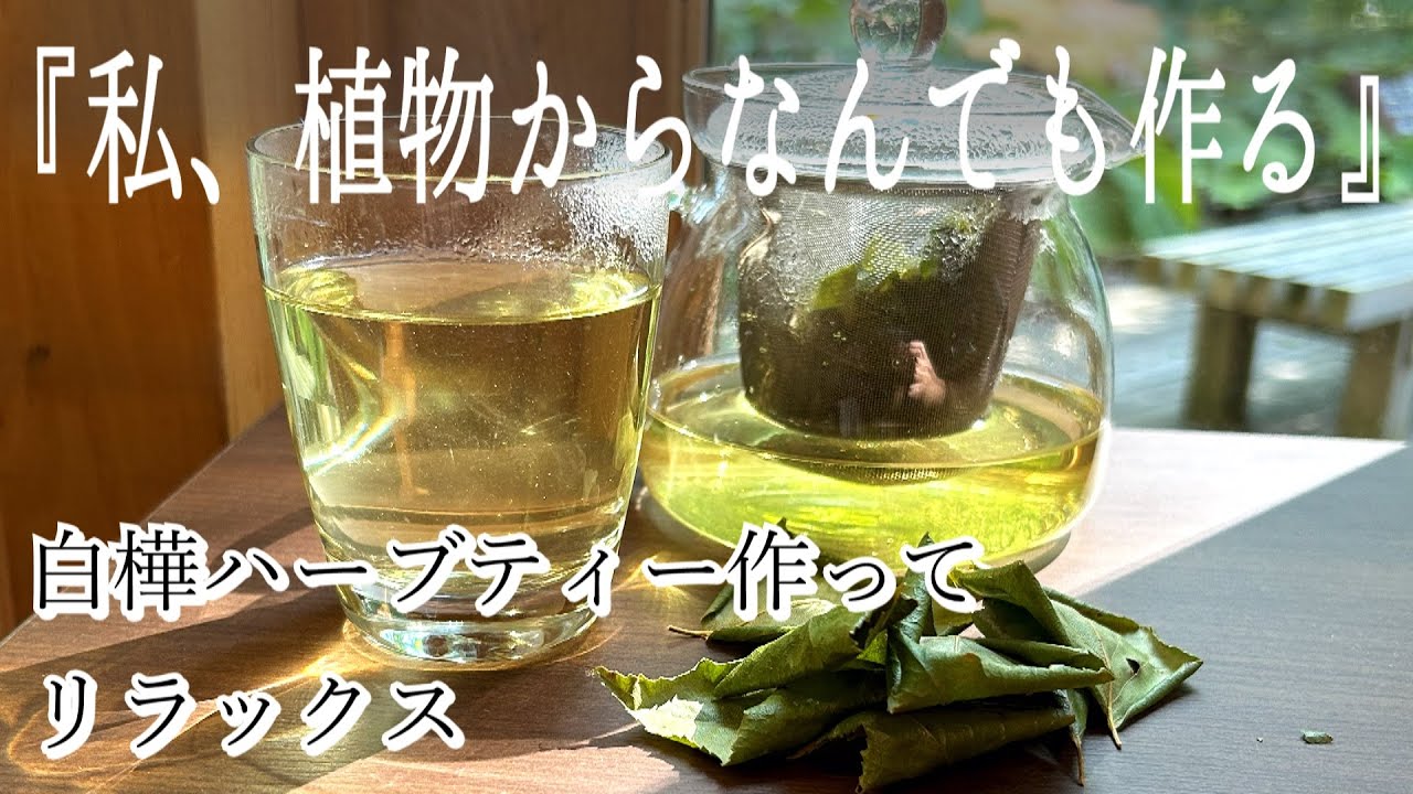 【ハーブティー】シラカバハーブティーの作り方｜ハーブティーの淹れ方