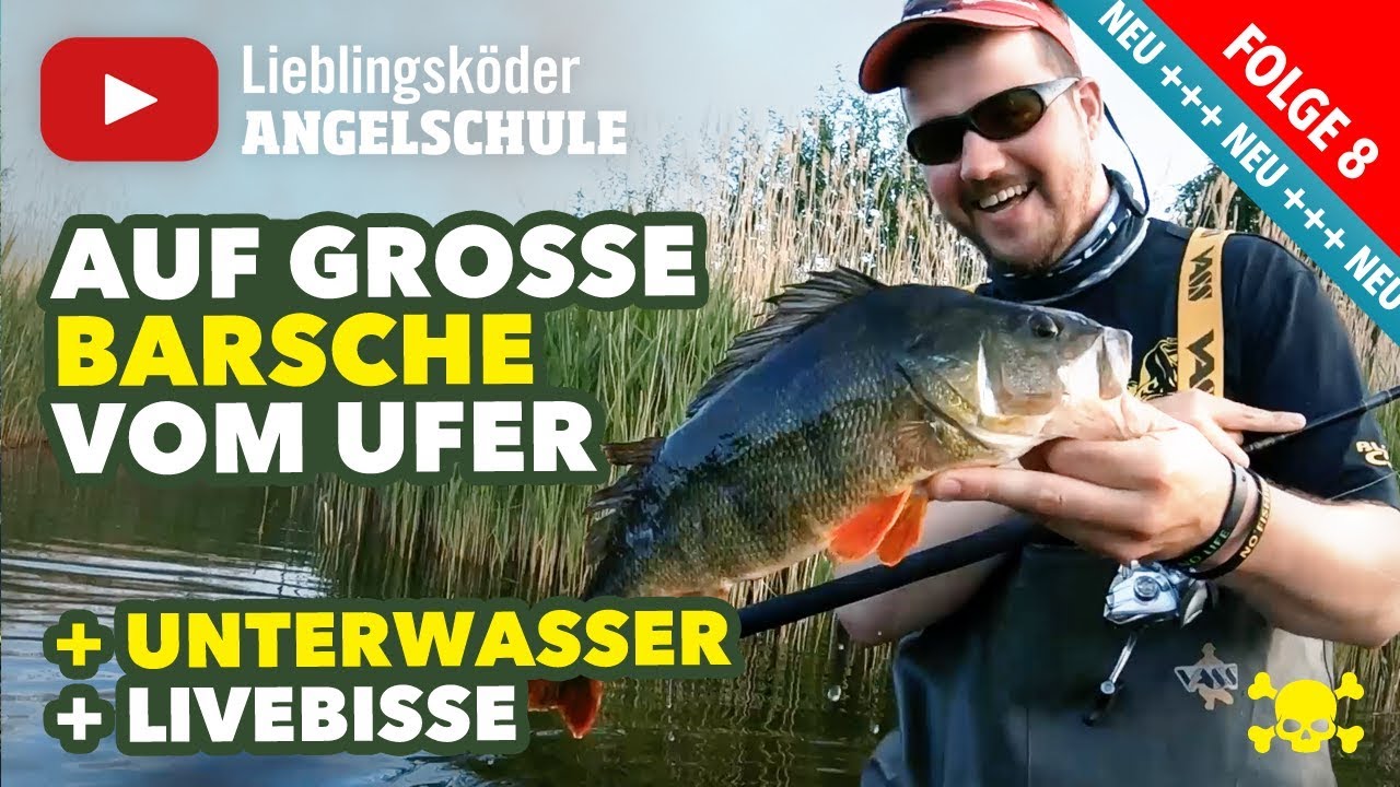 Gezielt auf gro&szlig;e Barsche vom Ufer angeln (Staffel 1, Folge 8)