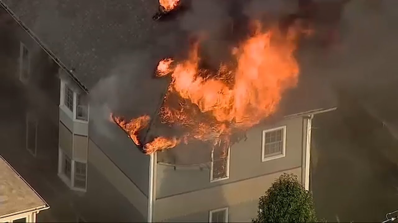 Forest Park fire destroys home but not hope for families displaced by blaze