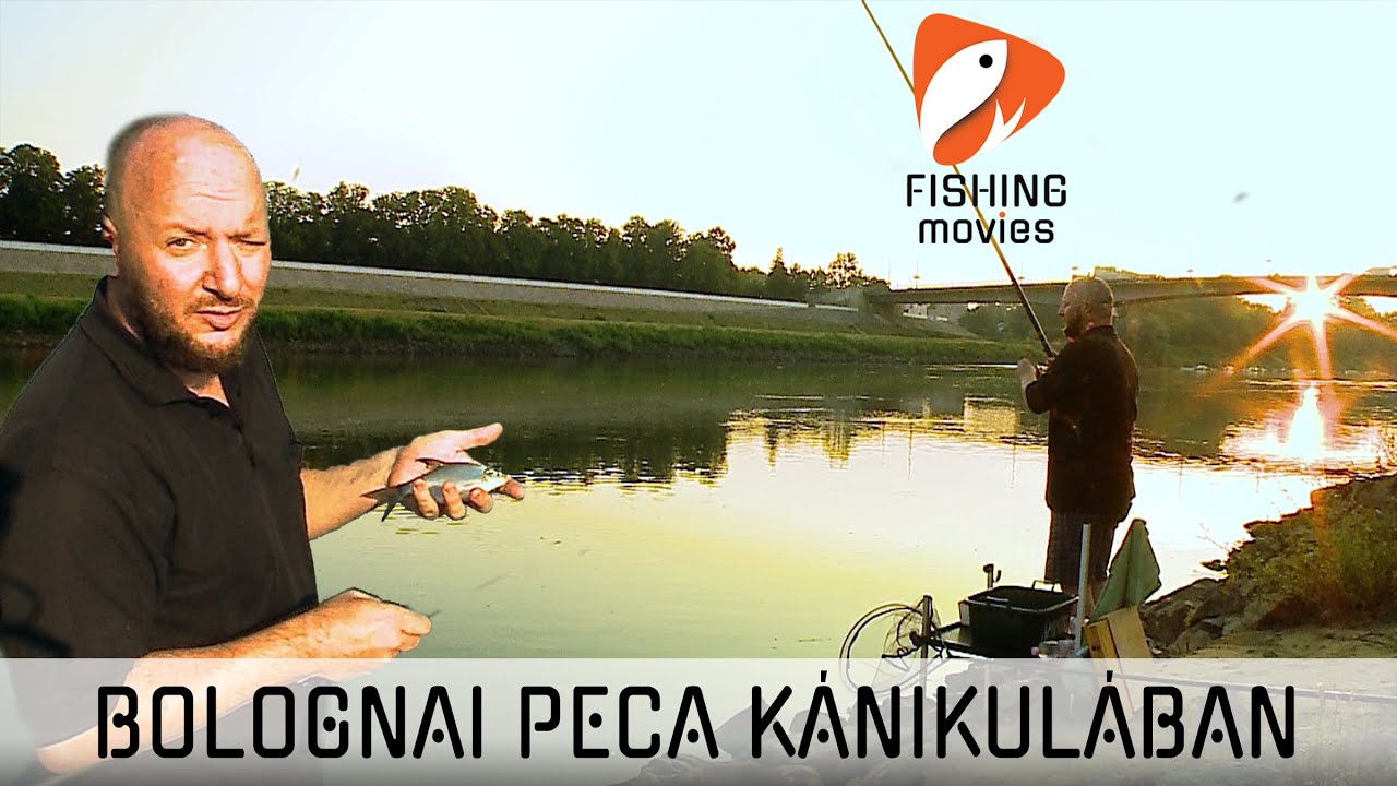 Bolognai peca kánikulában