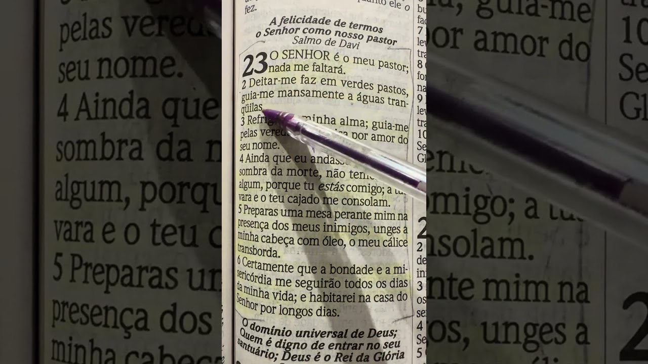 Oração do salmo 23