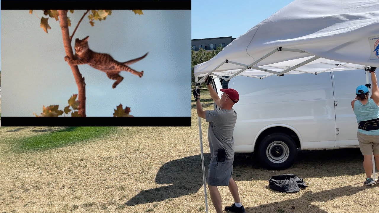 The SC - Second time is the Charm!