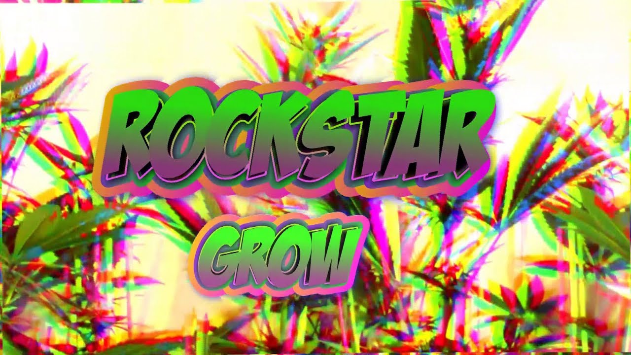 ROCKSTAR Grow pt3!! -"How To GROW WEED" series.