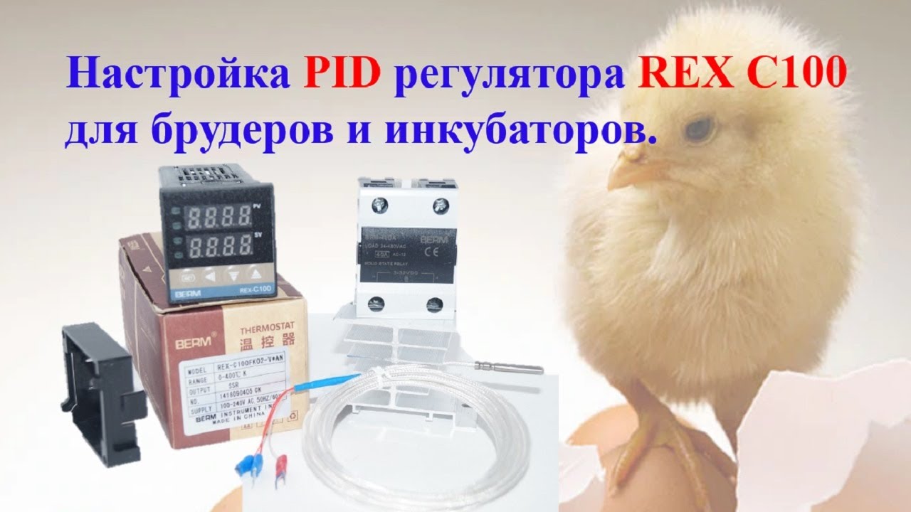 Настройка PID регулятора REX C100 для брудеров и инкубаторов. REX C100 dlya bruderov i inkubatorov