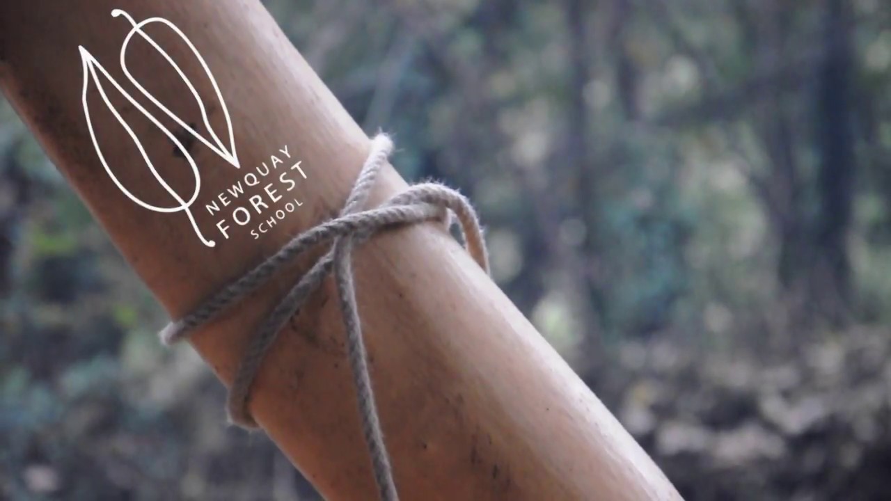 Forest Leader Training