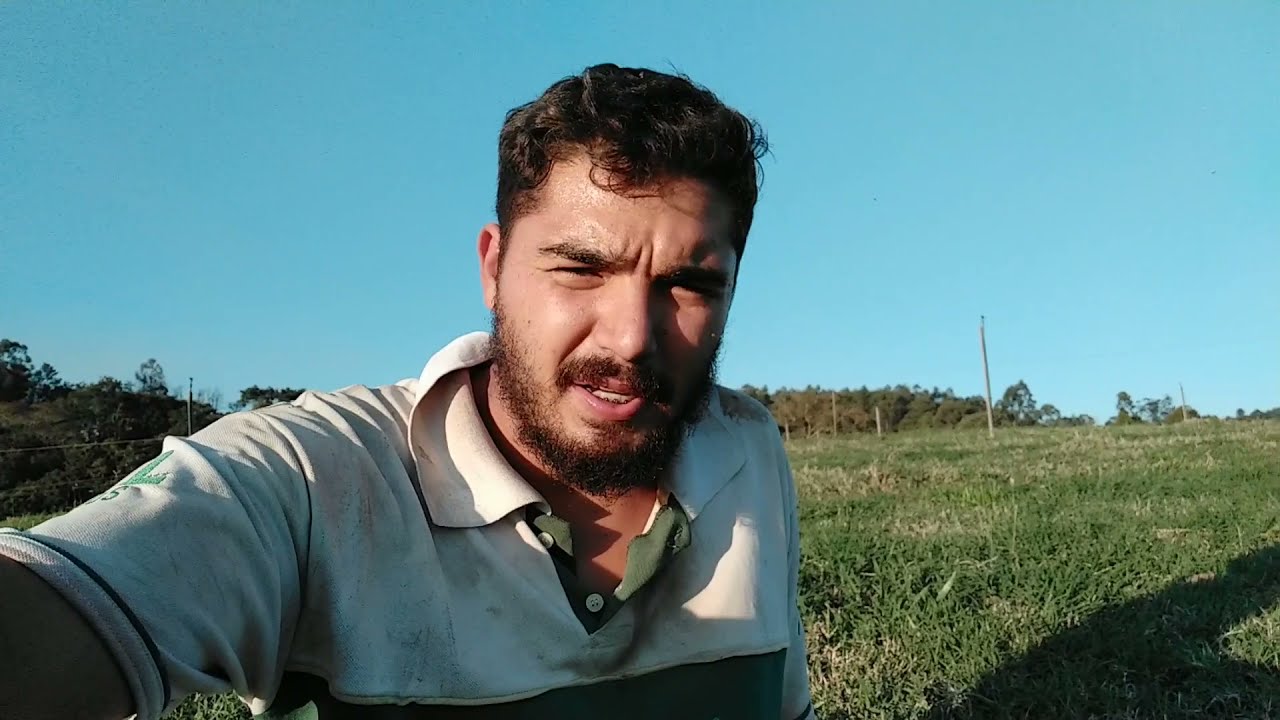Adubando pastagem irrigada e azevém/ A beleza da roça ao entardecer