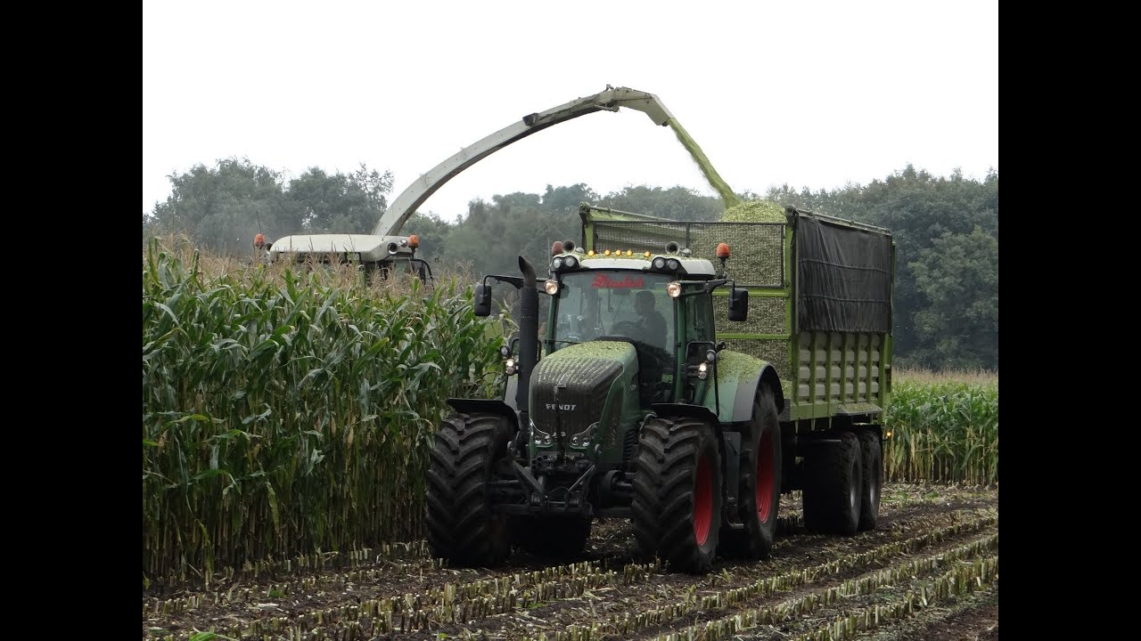 Claas Jaquar 870/maishakselen/harvesting maize/2013/The Netherlands/van Spijkeren Doornspijk
