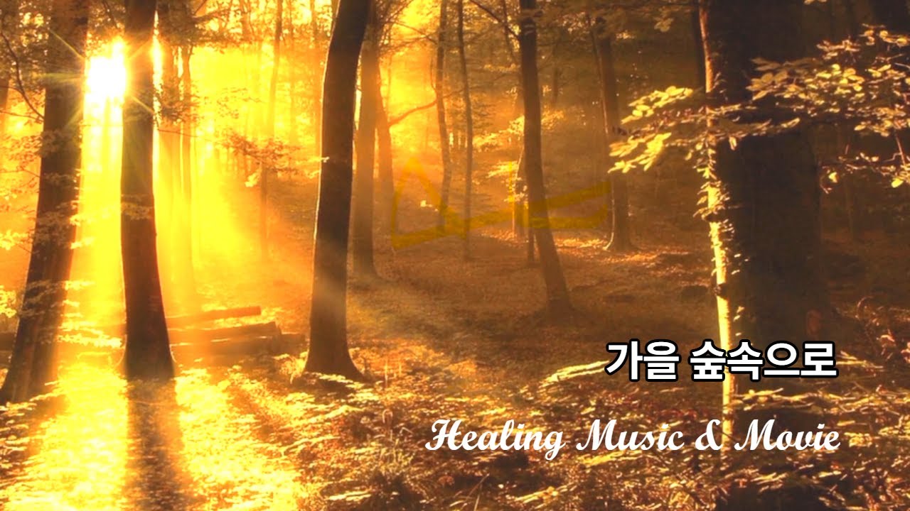 힐링음악 | 답답한 마음을 치유하는 자연 힐링 음악, 도시를 벗어나 떠나고 싶은 마음 #치유음악 #힐링 #힐링음악 #회복 #healingsounds #relaxingmusic