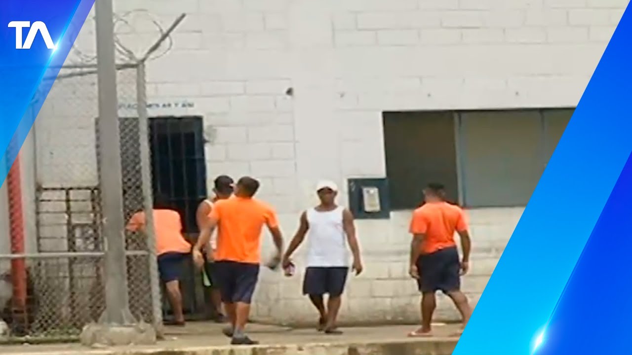 Alias &ldquo;El Ronco&rdquo; fue liberado por juez de Santo Domingo