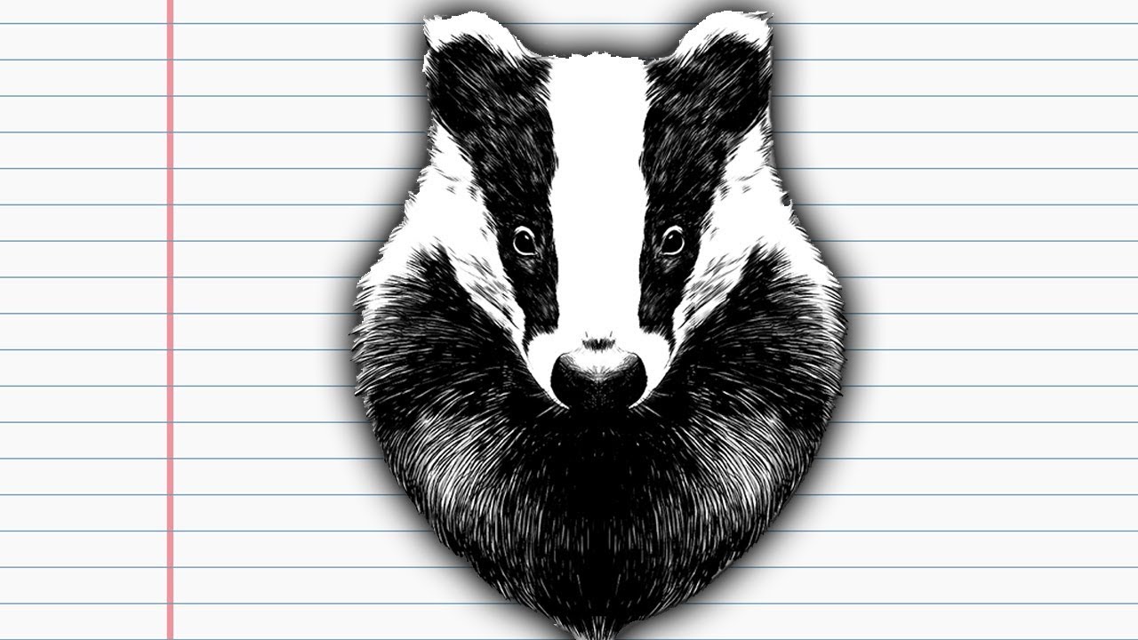 Gramatyka wytł&oacute;maczona