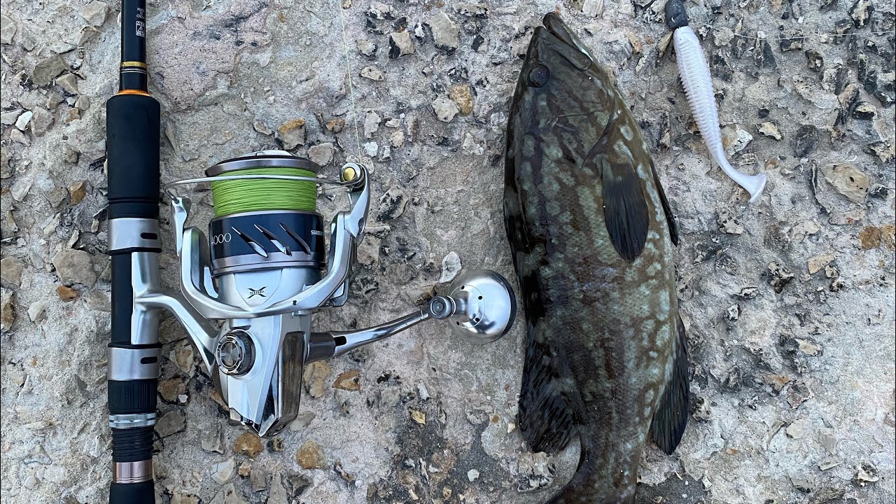 Grouper fishing in Tyre Lebanon - لقز